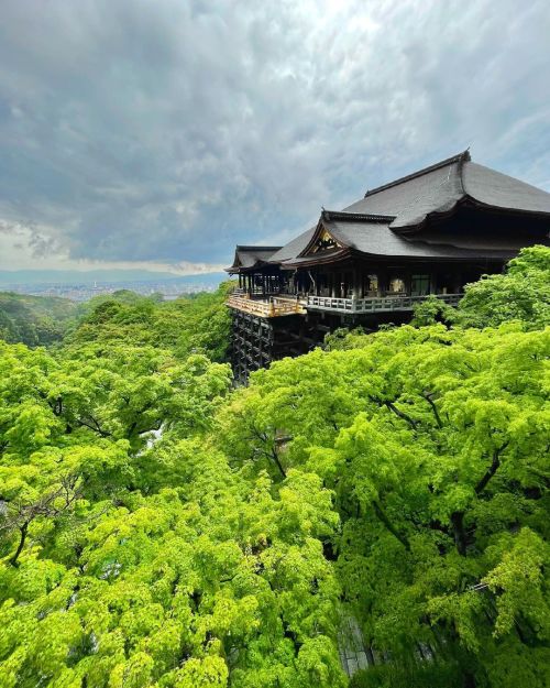 &rsquo; &rsquo; 【初夏の京都】 清水寺 新緑 &rsquo; &rsquo; 2021.5.7撮影 &rsquo; &rsquo; #kyoto #京都 #清水寺 #青もみじ #新緑 