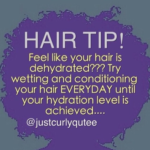 Hair tip! #2frochicks #Hairtip #dehydrated #condition #Curls #Healthyhair #Shine #Moisture #Hair #S