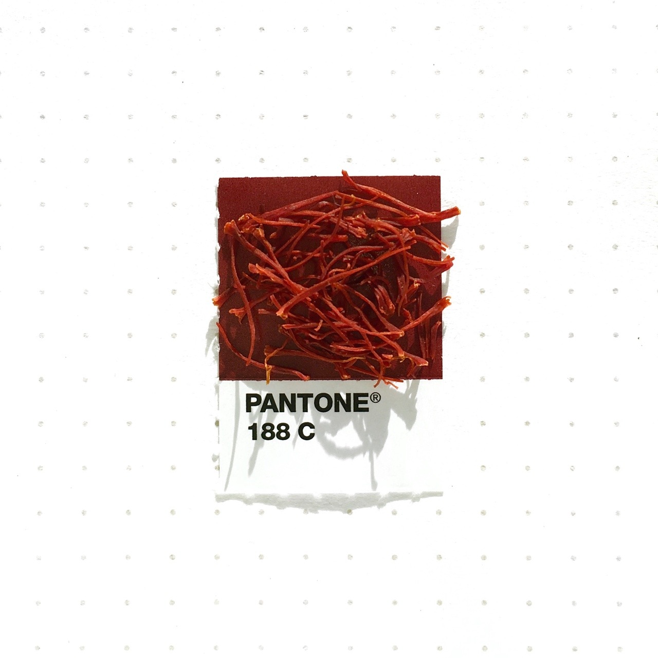 Tiny PMS Match &#8212; Pantone 188 color match. Saffron. The most...