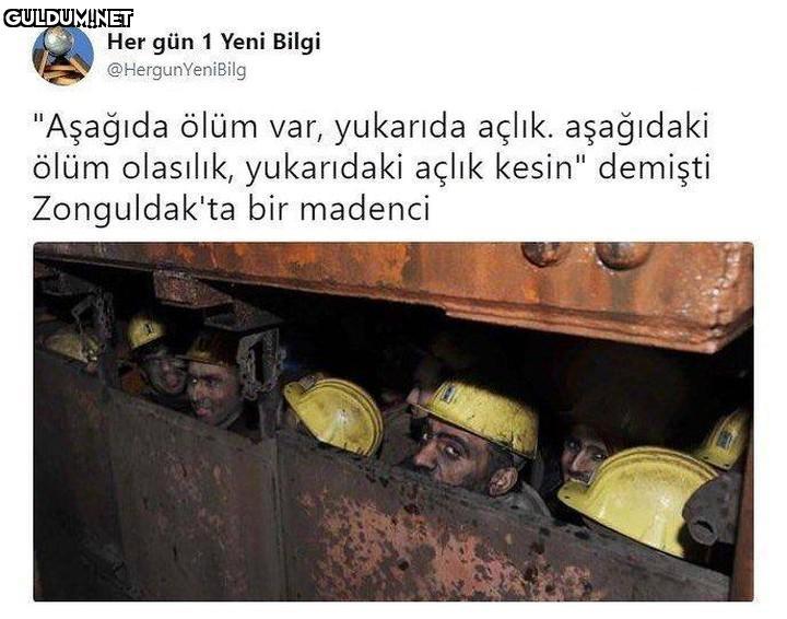 Her gün 1 Yeni Bilgi...