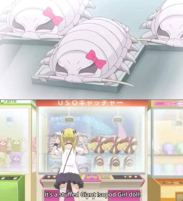 Posts with tag Giant isopod, page 2 - pikabu.monster