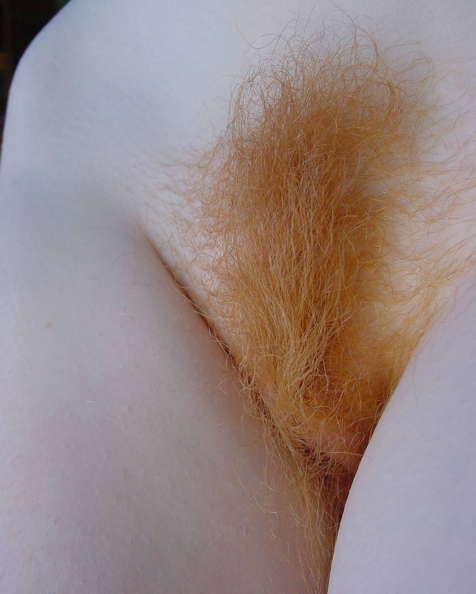 nosuchthingasfree:  I WANT IT! I WANT IT! I WANT IT!!!!!! http://nosuchthingasfree.tumblr.com