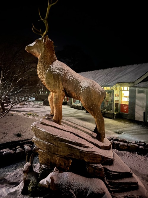 Snowy Few Hours In Grasmere , 9th & 10th March 2023
