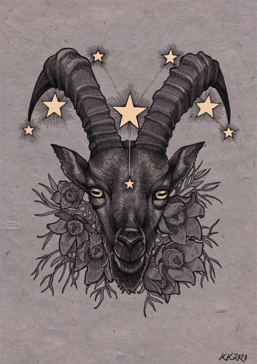 First of the Shadow Zodiac: Ibex.