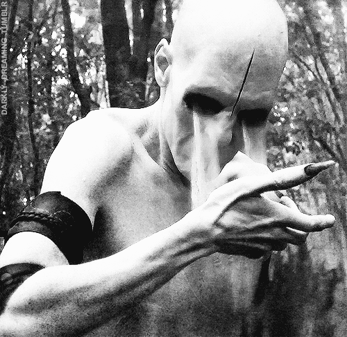 365 Days of Horror