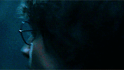 queendaenerys:  People change in the maze. Oh, find the cup if you can. But be very wary; you could just lose yourselves along the way. 