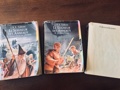 hedgehoginthesun:A few photos of my childhood/teenage copy of Lord of the Rings, along with the cool