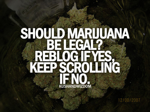 kushandwizdom:  KushandWizdom