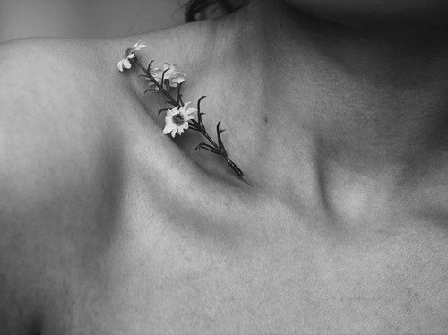 tumblr photo a-little-p1ece-of-heaven 0