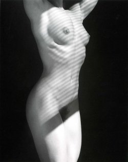 fleurexquiseducorpsadore:      Robert Mapplethorpe