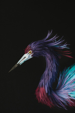 linxspiration:  Incredible Paper Models of Birds