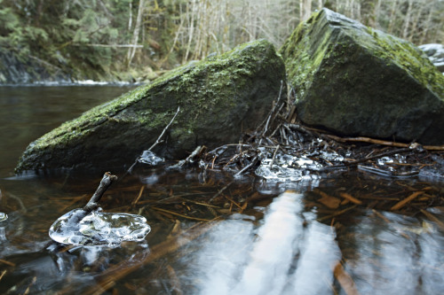 I love this spot,The constant sound of the river,Flowing all around me,Its cold soaking into my skin