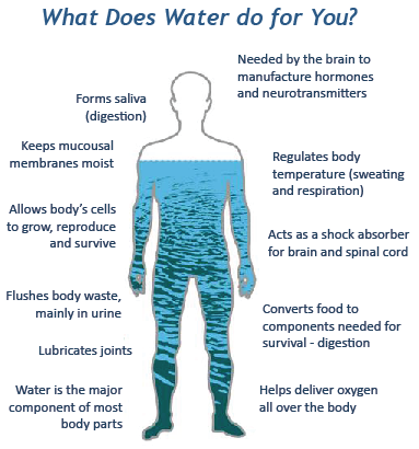 Why You Should Drink Water!