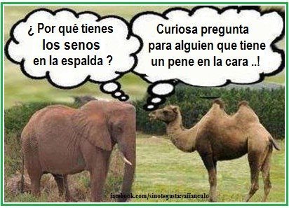 FUTUBANDERA ¡ES LA LUUUZ!