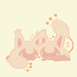 evachu:  skitty ₍˄·͈༝·͈˄₎◞