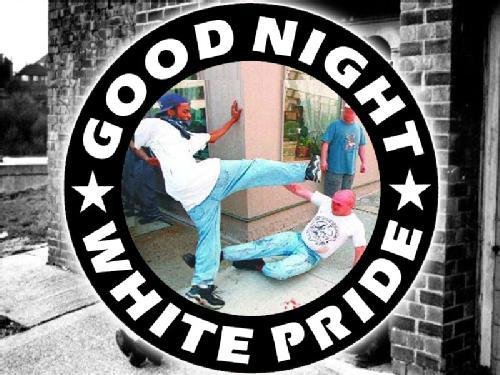 antifainternational: THE STORY BEHIND THE “GOOD NIGHT WHITE PRIDE” IMAGE:May 9, 1998: The KKK, decide to hold a rally in Ann Arbor, MIchigan despite having their asses handed to them their two years earlier.  The Ann Arbor city council obliges them,