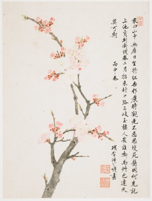 heaveninawildflower: Blossoms from ‘Album of Ten Leaves’ (1656) by Xiang Shengmo (Chinese, 1597-1658