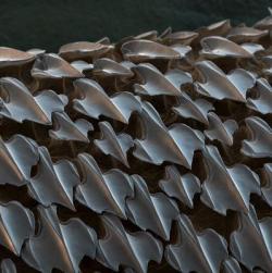 daily-meme:  Shark skin when viewed under an electron microscope.http://daily-meme.tumblr.com/ 