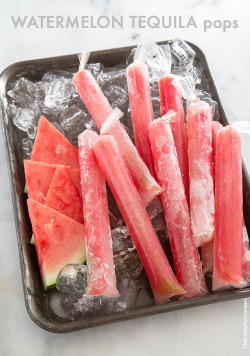 foodffs:  WATERMELON TEQUILA POPSReally nice