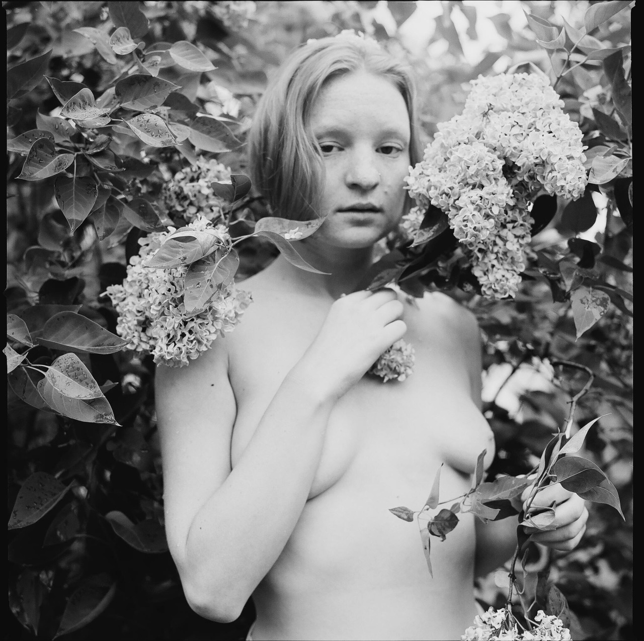coconutdreamin:  &ldquo;And yesterday I saw you kissing tiny flowers, But all