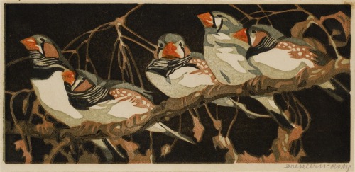 Norbertine von Bresslern-Roth, zebra finch, ducks, fantails, 1922. Cat, 1925. Crabs, 1926. Color lin