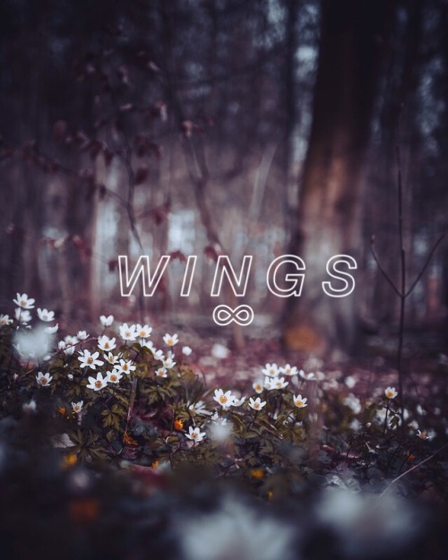 Wings-EDEN thank you for all the support and love x ;)
