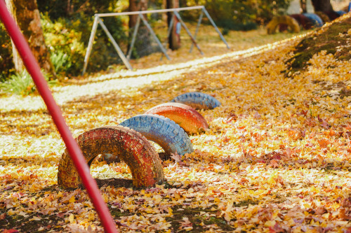 『秋風の公園』sony a6400 + SIGMA 56mm F1.4 DC DN | Contemporary2021.12location : 静岡県 Shiuoka, japan