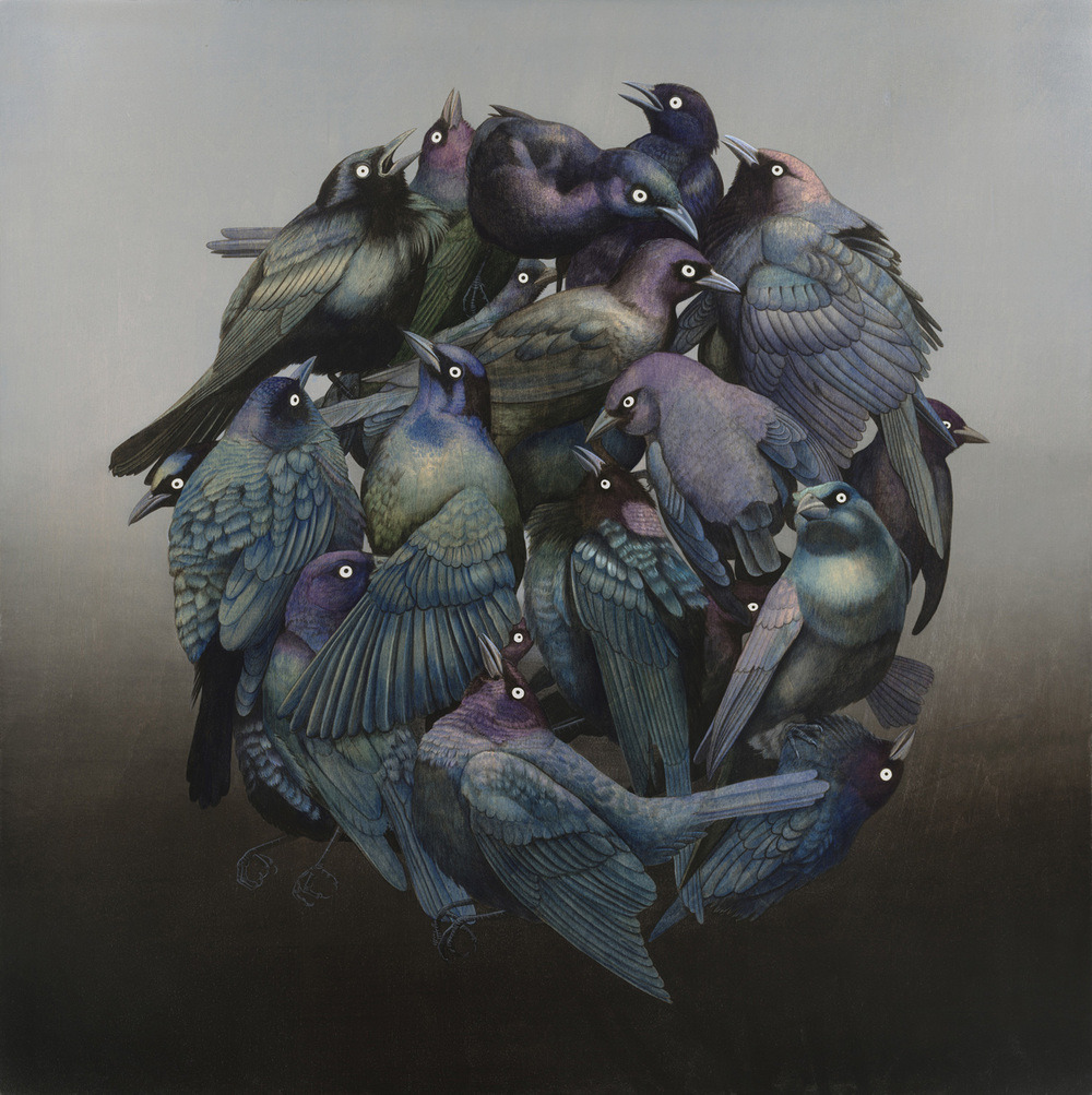 darksilenceinsuburbia:  Tiffany Bozic. Sense of Wonder - New Solo Show at FFDG opening