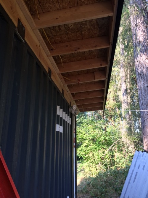 Got the eve wired for lighting and starting on the cedar paneling! #shippingcontainer #containerhous