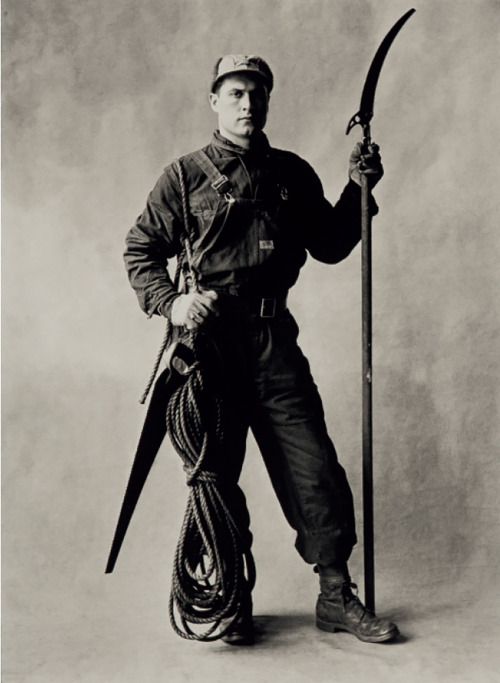Irving Penn, Tree Pruner, New York, 1951 - Platinum-Palladium print, flush mounted on aluminium, pri