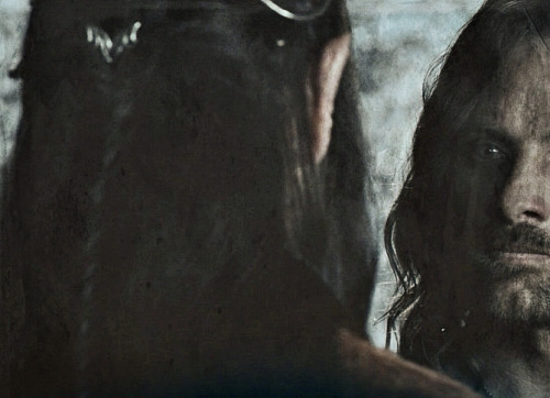 ifallelseperished:    families of Middle-earth  elrond &amp; aragorn But Aragorn was only t