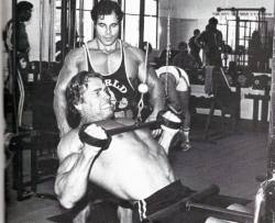 visualizeyoursuccess:  Arnold and Franco