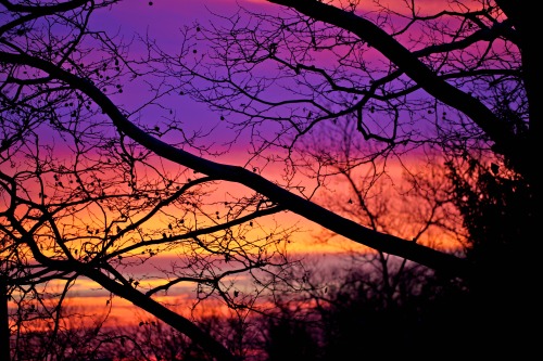 olenkoskitchen: Happy Winter Solstice!  Beautiful Sunset in Tarrytown : ) view from my pat