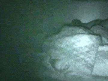 kryptophysics: unexplained-events:  Woman uploads footage of a strange creature in her friend’s bedroom   “My friend had been hearing noises in her bedroom at night for weeks so she set up a camera, and the footage she got is unexplainable.”   VIDEO