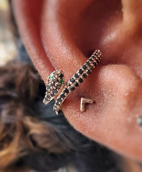 iwaitnowforonlythewind: SsSsSsSsSTOP WHAT YOU’RE DOING AND LOOK AT THIS Piercing not by me, but I h