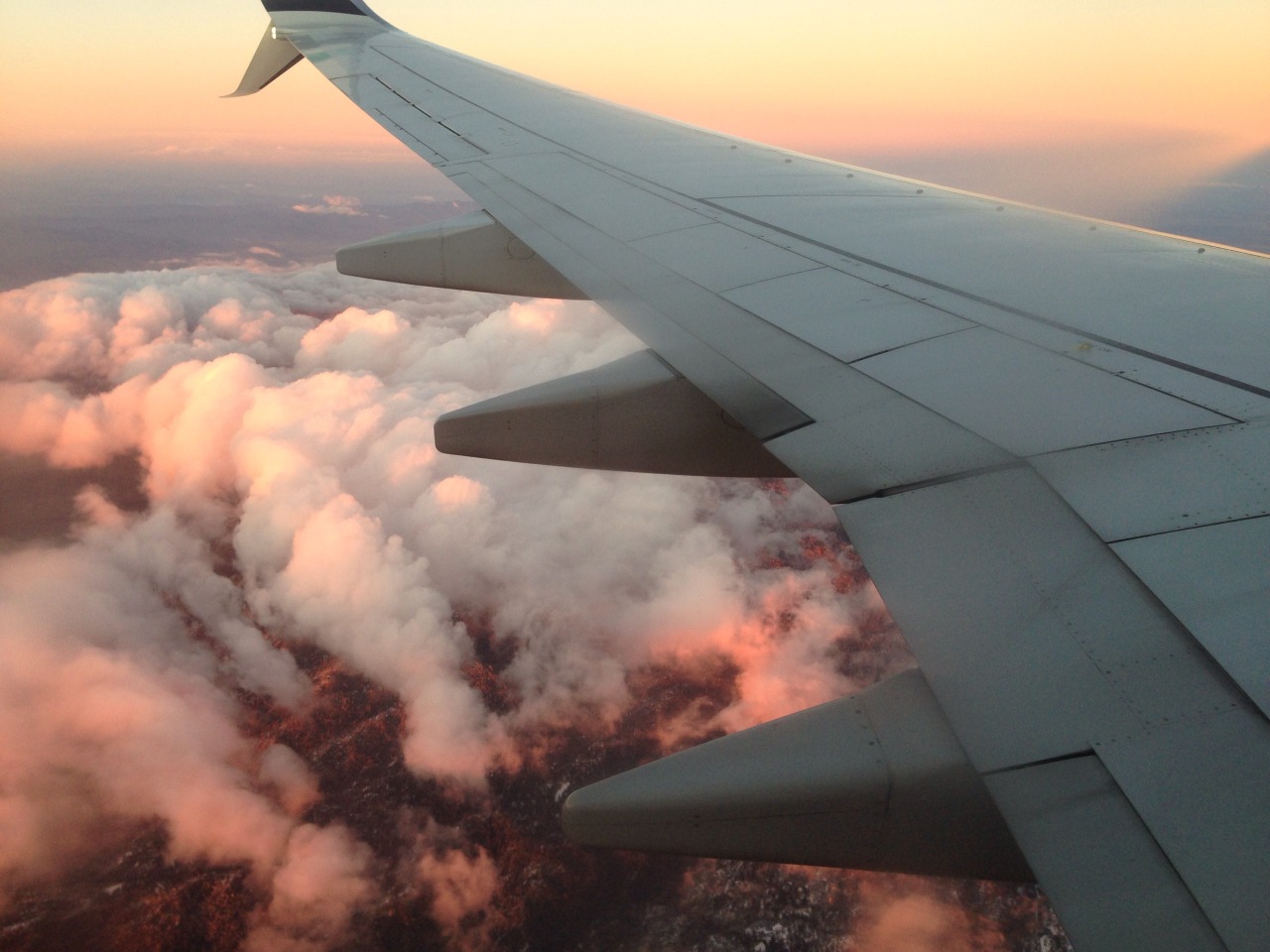honeybooboomwahh:  253 ✈️ 760