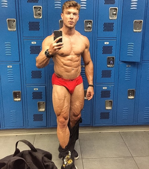 Adonis Files