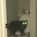 victorianghostcat - ghost cat who is victorian