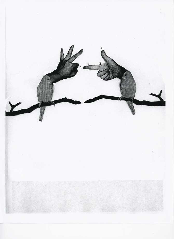 visualgraphc:  Love