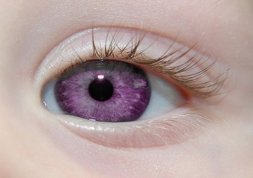 Alexandria’s Genesis, also known as ”violet eyes” (a mutation). – a hoaxWhen someone is born with Alexandria’s Genesis, his eyes are blue or gray at birth.After six months, the eyes begin to change their original color to