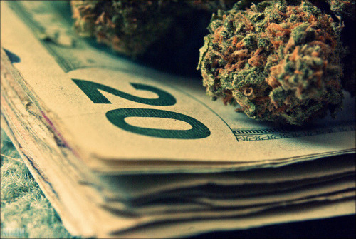 obeytheprophecy:  grow-your-weed:  Smoke your own pot right now - Click here  ▲
