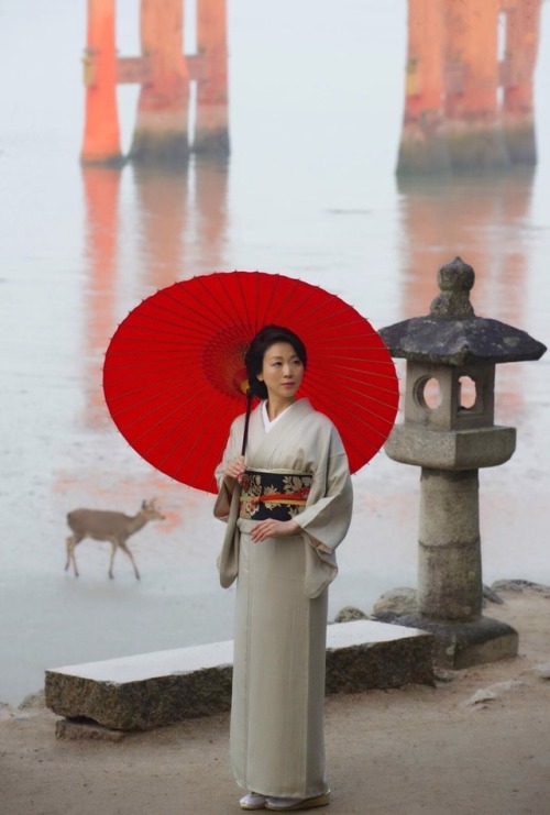 kimonojunko: With a deer as the Messenger of God at Itsukushima island. 厳島神社にて、神の使いである鹿と。