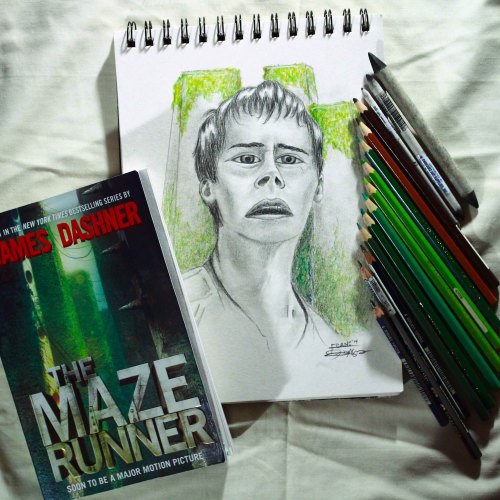 “Where am I?… Who sent me here?” -Thomas: The Maze Runner Chapter 2