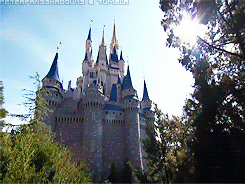  Welcome to Walt Disney World, where dreams come true. 