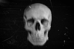 white-moon-light:  Halloween Aesthetic: Skull / Skeleton 