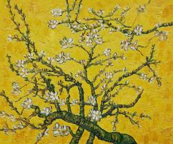 moderndelights:Branches of an Almond Tree