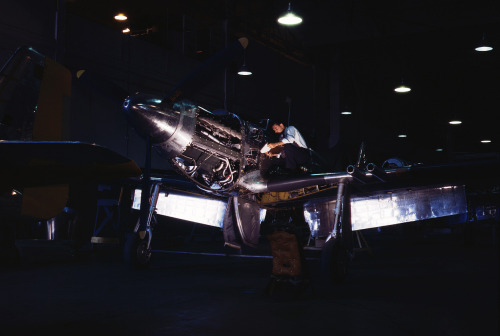 humanoidhistory:Construction of a P-51 “Mustang” fighter plane at a North American Aviation plant in