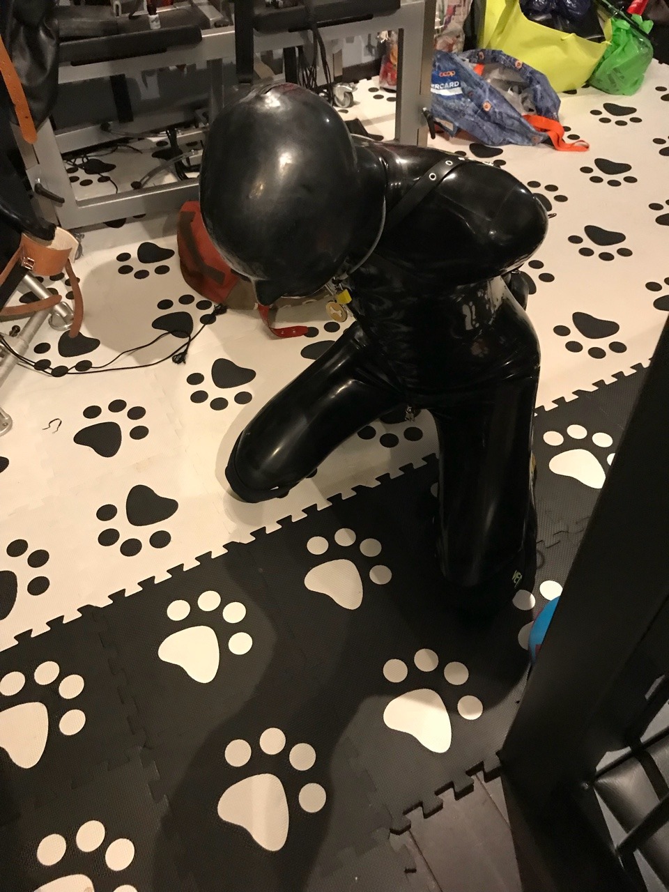 master-play:Quick session tonight with @pupnito