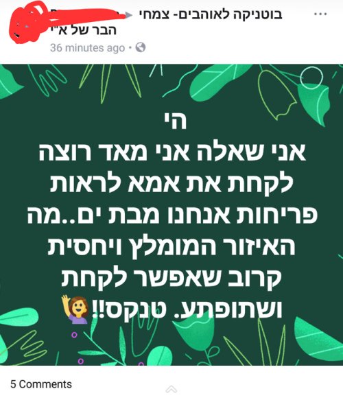 תוהה אם שווה לי לעוף מהקבוצה על “מה חשבתי שבבת ים יש מלא פריחות” כל כך מתאפקת