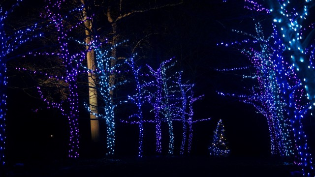 thingssthatmakemewet:‘Tis the season to be cheesin’ 😄🥰🎄@mossyoakmaster and I went on a double date to see Christmas lights on Friday and I’ve found my new favorite pictures of us together 🥺🥰😍💖 It was an amazing night